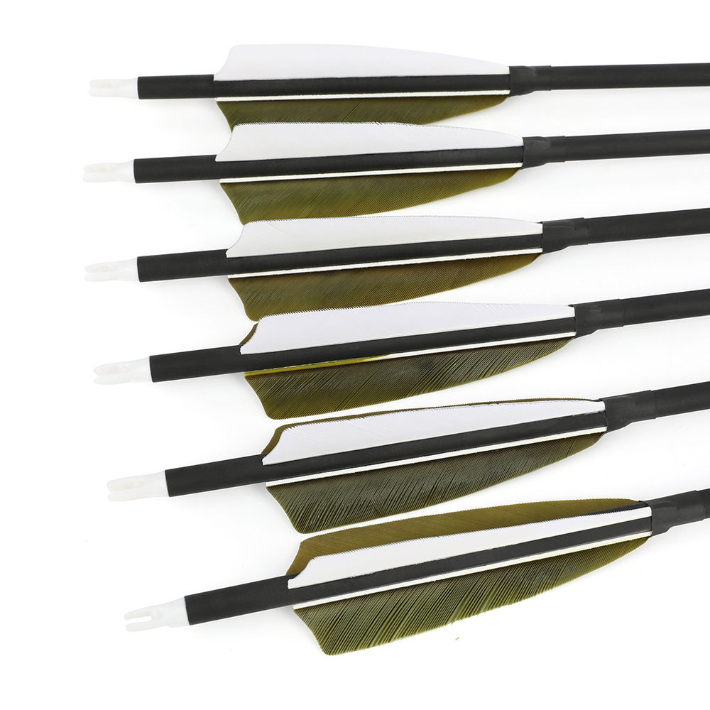4インチ七面鳥羽根Spine500 30インチシャフト 6/ - Arrow Carbon Shaft のレビューと価格